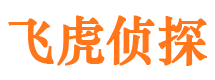 洛宁市侦探调查公司